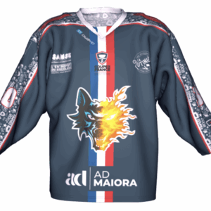 MAILLOT COUPE DE FRANCE DOMICILE 25-26