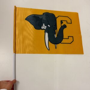 Grand drapeau jaune - Chambéry